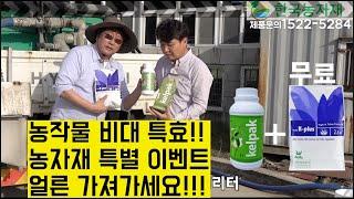 [한국농수산TV] 녹색통의 비밀!! 마늘 비대와 추비를 한 방에 해결하는 방법을 아십니까?