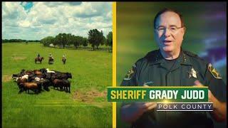 News 6 investigates if Florida sheriffs are allowed to appear in campaign ads