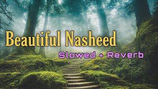 Heart Touching Nasheed - Tabsirah ( slowed + reverb ) | Nasheed for Happiness