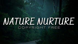 Quincas Moreira - Nature Nurture [Copyright Free]