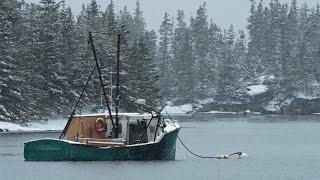 The Four Seasons in Downeast Maine - Winter