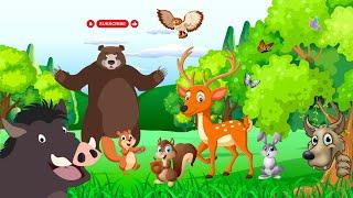 ANIMALI DEL BOSCO | NOMI E SUONI  E VERSI REALI | VIDEO ANIMALI PER BAMBINI