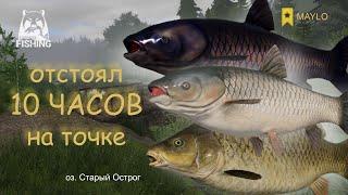 Фул садок трофеев за 10 часов на точке | Русская Рыбалка 4 | РР4 MAYLO