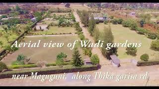 Aerial view of Wadi gardens by protrack media