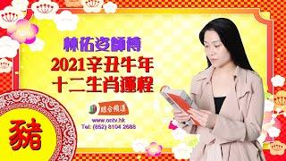 【林佑姿師傅 2021年十二生肖運程 (肖豬)】