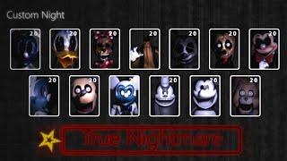 Five Nights at Treasure Island 2020 - True Nightmare 13/20 Complete!