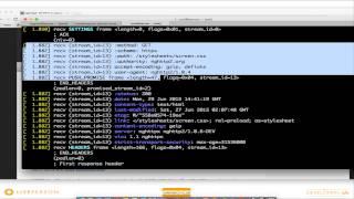 HTTP / 2 :  Should I care?