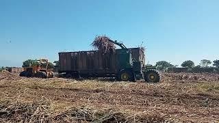 Zafra aquí en Guatemala ( 2022/...SUSCRIBETE Y ME SUSCRIBO