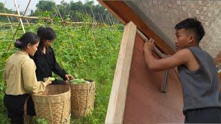 Out of Money: Sua and Ha have to go harvest fruit to earn money to build a house