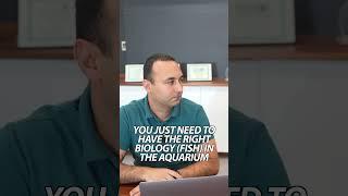 Do you believe in a parasite free aquarium?