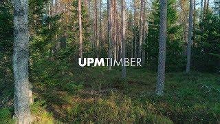 UPM Timber – the most trusted timber service in the world