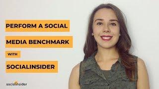 How to perform a social media benchmark with Socialinsider