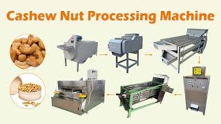 Modern Cashew Processing Plant | Cashew Processing Machine