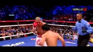 Pacquiao vs Cotto (GP highlights)