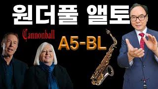 캐논볼 프로페셔널 앨토 A5-BL