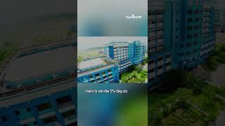 Bách Khoa Hồ Chí Minh thay đổi phương án tuyển sinh 2025. #tuyensinh247  #tintuc