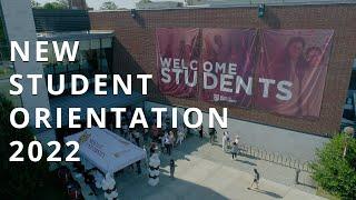 Molloy University - New Student Orientation 2022 - Discover You! - Group 1