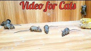 Cat TV mice digging burrows / holes in sand and hide & seek for cats to watch