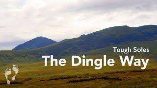 The Dingle Way  The Best of Ireland