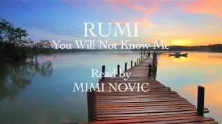 Rumi - You Will Not Know Me - Mimi Novic