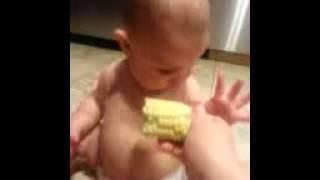 Corn on the cob