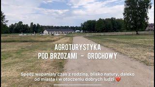 Agroturystyka Pod Brzozami Grochowy - idealne miejsce na czas z rodziną, blisko natury