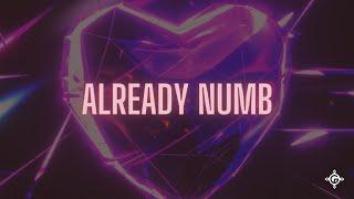 Egzod, Synymata & Josh Rubin - Already Numb [Official Audio]