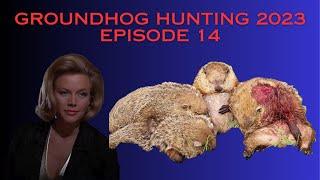 Groundhog Hunting 2023 They Are Everywhere | Eps 14