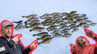 Ice Fishing In Northern Michigan! (Jumbo Perch)