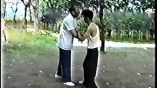 Shanghai. Taijiquan style Wu. Master Fei Guo Qing. Pushing hands. Part 1