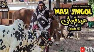 Masi Jingol Eid Qurbani|Episode 293|Balochi Comedy |2024|#basitwafa