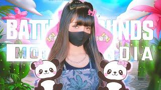 BGMI Live  #bgmilive #pubglive #girllivestream