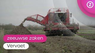 zeeuwse zaken, Vervaet