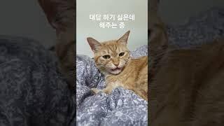 그만불러..