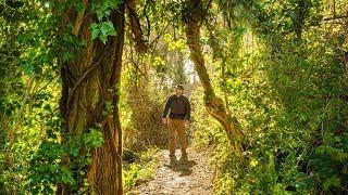 Landscape / Woodland Photography at Folkestone Kent