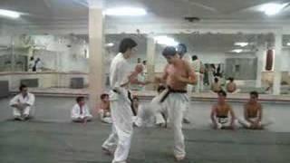 kyokushin