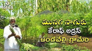 మునగ సాగుతో ఎకరాకు రూ. 3 లక్షల లాభం | ఉండవల్లి రైతు విజయగాథ | Moringa Cultivation | Karshaka Mitra