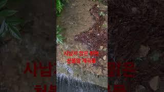 #소원성취 #기도도량 #부여 #천불암 #태극도령