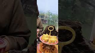 말차 아포카도 먹방