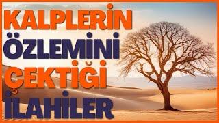 KALPLERİN ÖZLEMİNİ ÇEKTİĞİ İLAHİLER - VARSAM HİCÂZ İLLERİNE DÜŞSEM KA’BE YOLLARINA