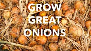 Onion Growing Guide