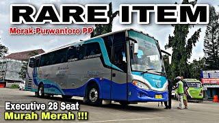 RARE ITEM  Executive Class 28 Seat Murah Meriah ️| trip Armada Jaya Perkasa M108