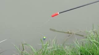 Margin Fishing on Match Lake Cottington Lakes Kent.