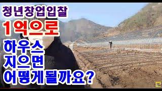 청년보조사업입찰1억으로 고추비닐하우스지으면 어떻게될까요 비용가격 비가림하우스시공