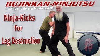 Bujinkan-Ninjutsu: Kick-Combinations - Leg Destruction