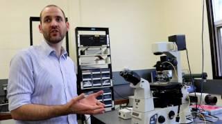 Dr Wilson: Holographic Microscope