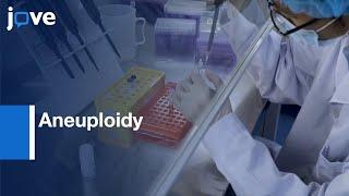 Aneuploidy Analysis by Preimplantation Genetic Testing | Protocol Preview