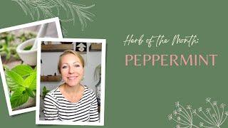 Herb of the Month: Peppermint