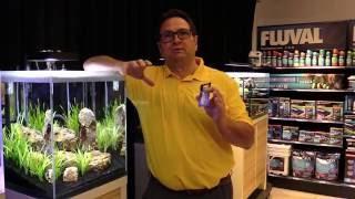 Fluval FX Canister Filter Maintenance Tips