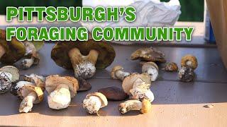 Foraging Pittsburgh | Discovering Community and Flavor in Nature